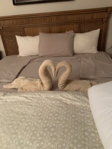 cleaning reviews Marathon FL towel swan display