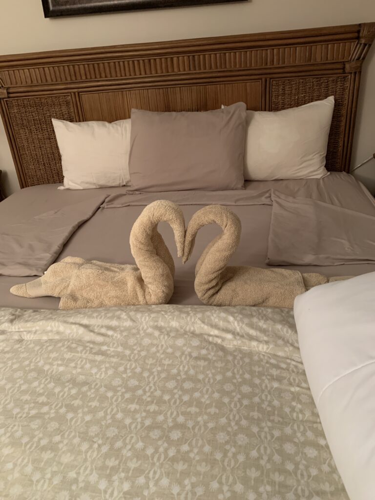 cleaning reviews Marathon FL towel swan display