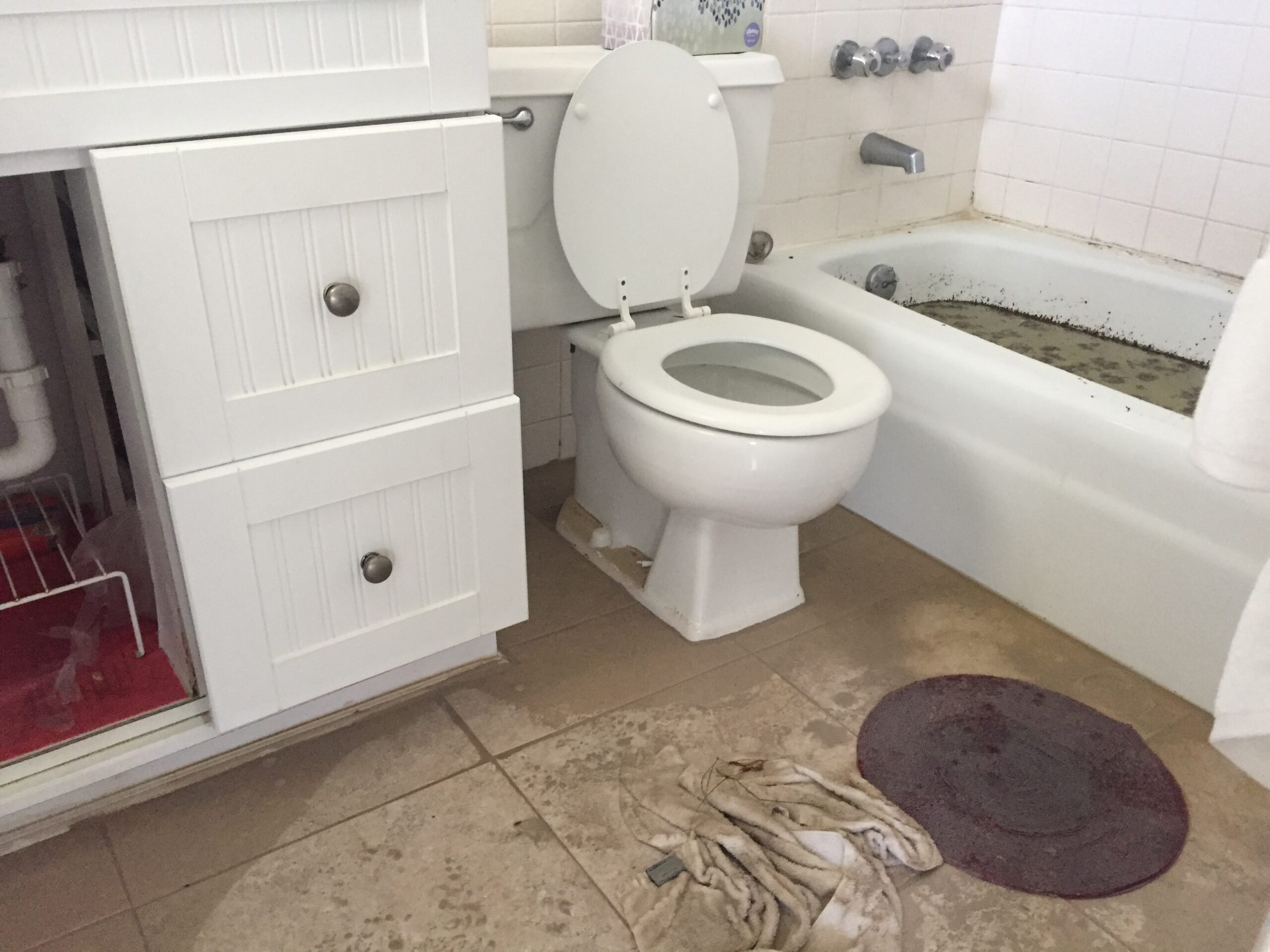 Vacation rental bathroom showing water damage and deterioration before professional hurricane preparation inspection
